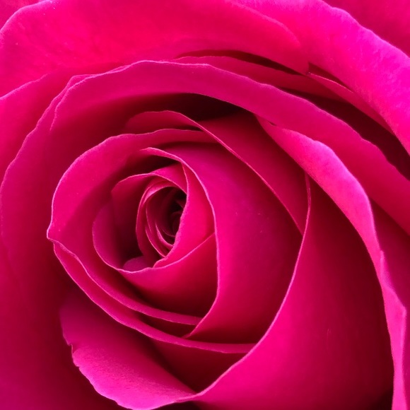 Meet your Posher, Marlyn - Picture 1 of 1